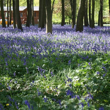 Hollicarrs - Stag Lodge York Bagian luar foto