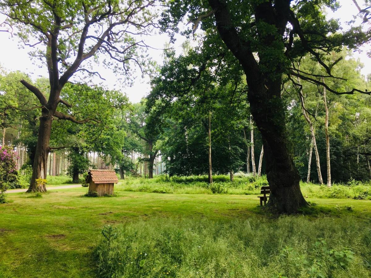 Hollicarrs - Stag Lodge York Bagian luar foto