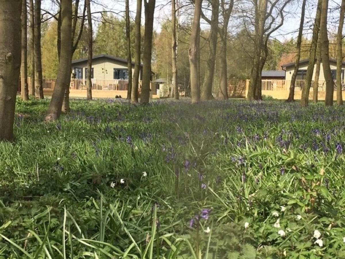 Hollicarrs - Stag Lodge York Bagian luar foto