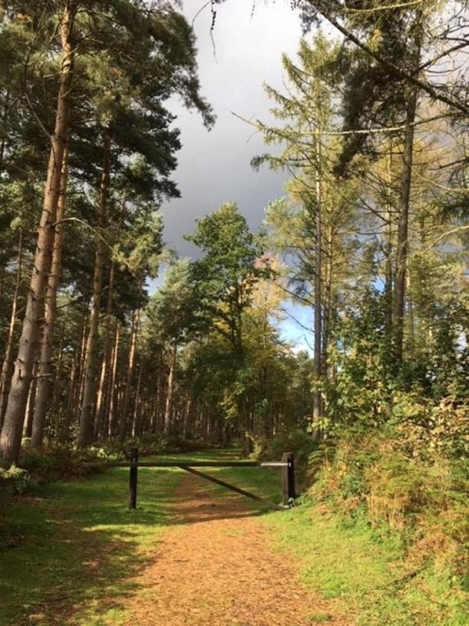 Hollicarrs - Stag Lodge York Bagian luar foto