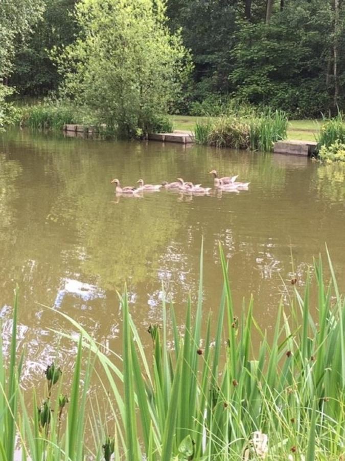 Hollicarrs - Stag Lodge York Bagian luar foto