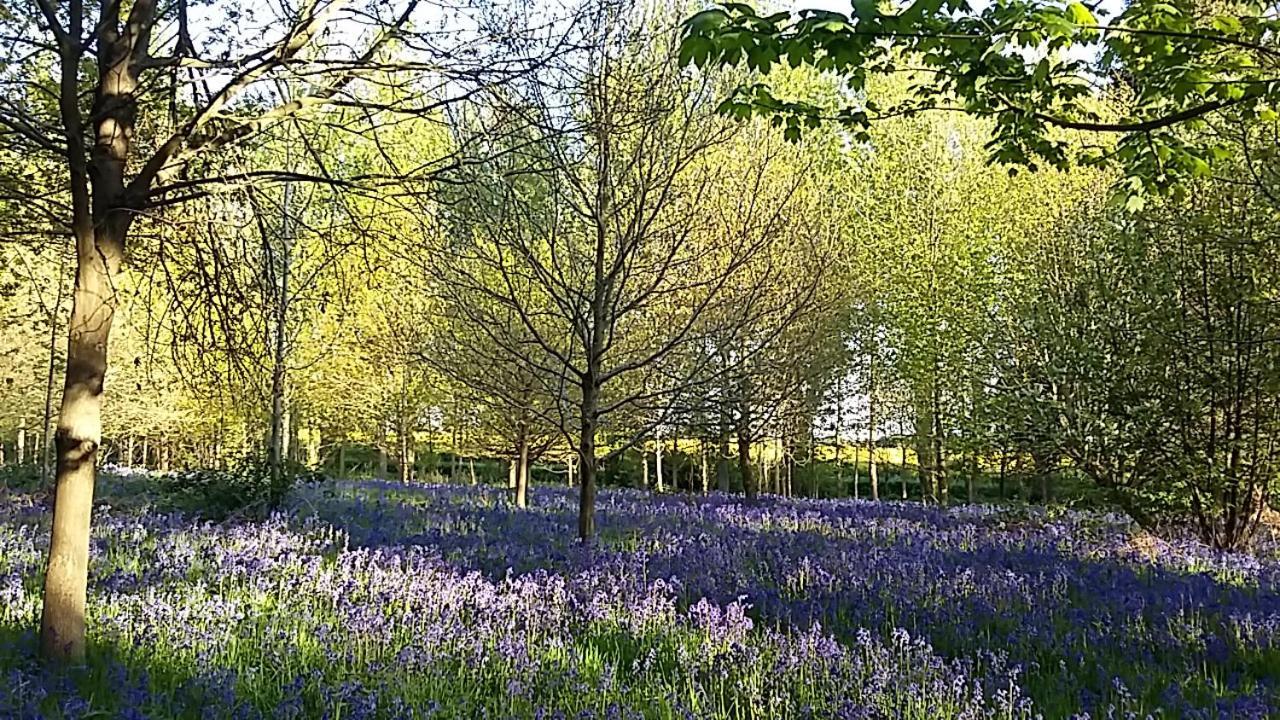 Hollicarrs - Stag Lodge York Bagian luar foto