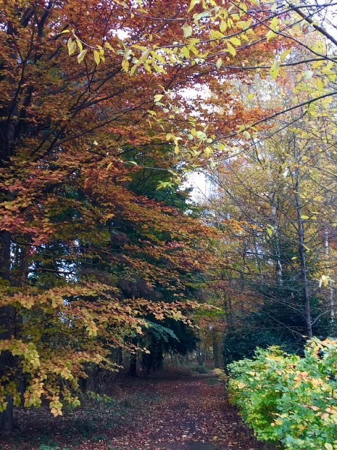 Hollicarrs - Stag Lodge York Bagian luar foto