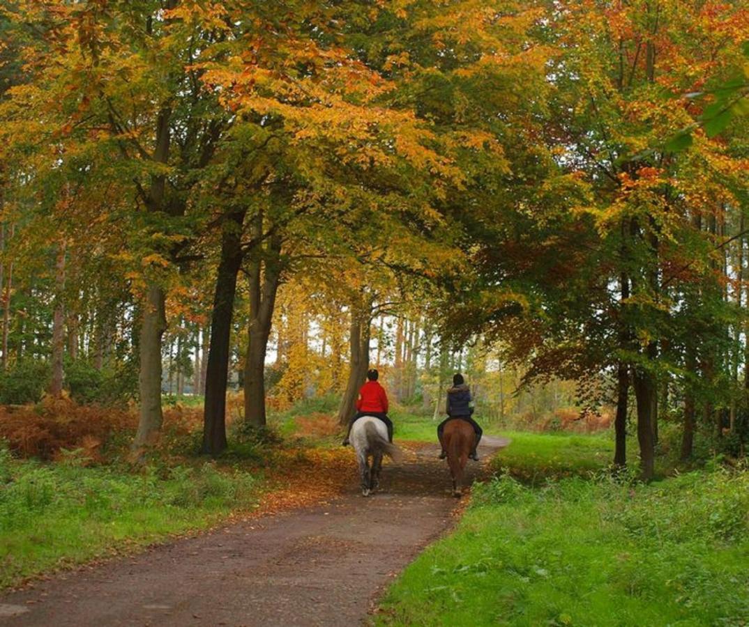 Hollicarrs - Stag Lodge York Bagian luar foto