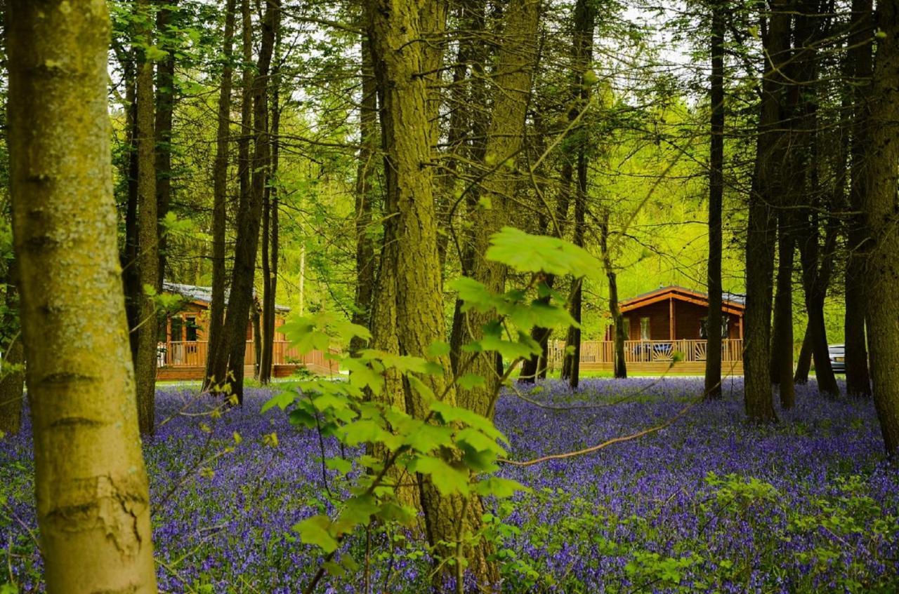 Hollicarrs - Stag Lodge York Bagian luar foto