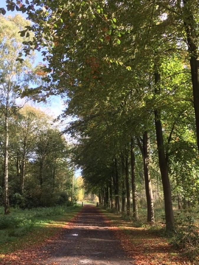 Hollicarrs - Stag Lodge York Bagian luar foto