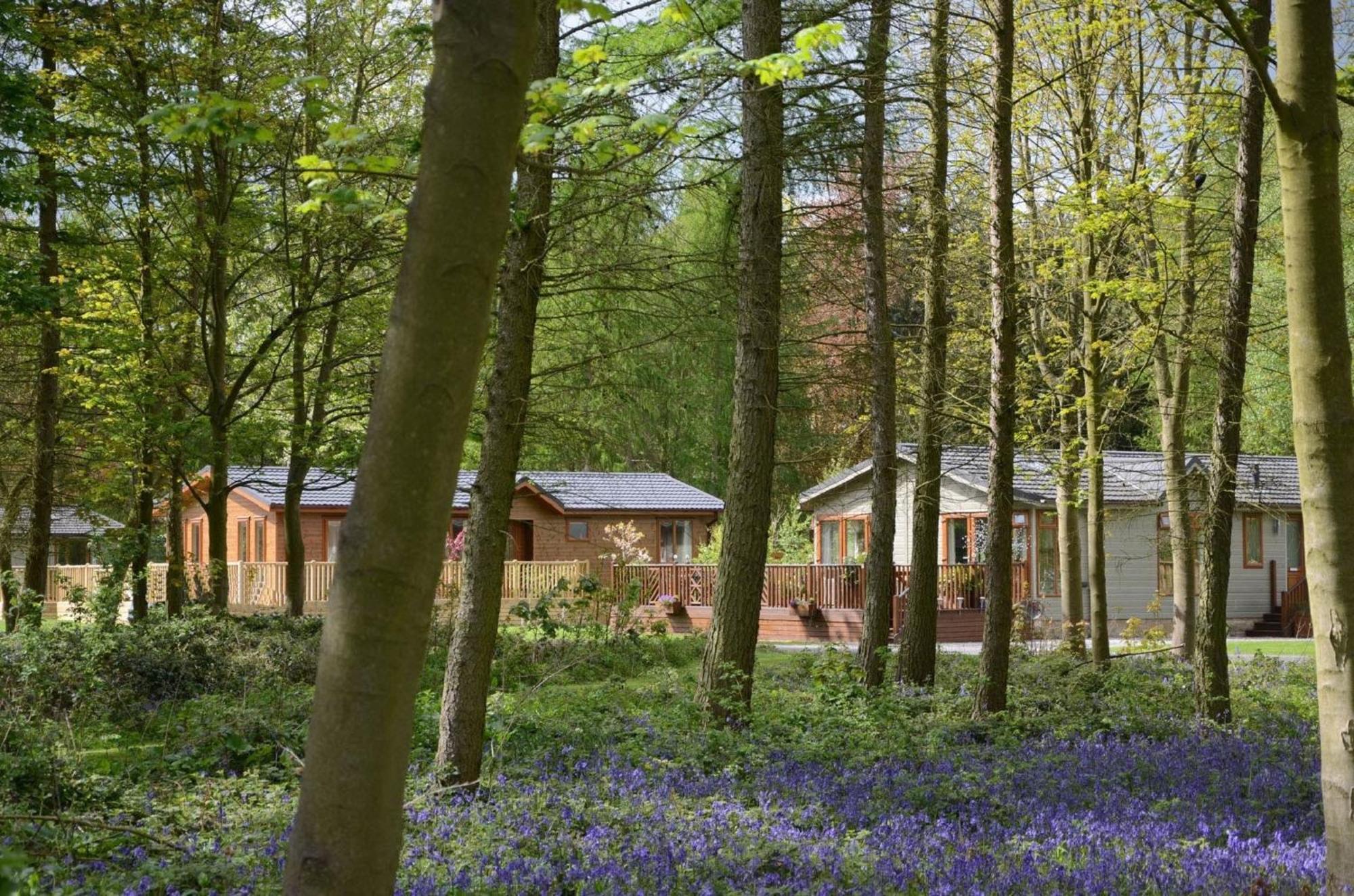 Hollicarrs - Stag Lodge York Bagian luar foto